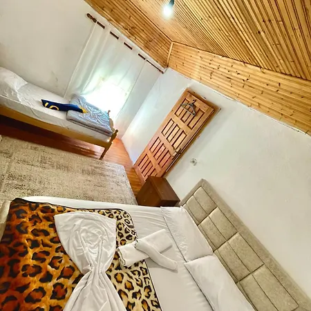 Bujtina Lokthi Theth