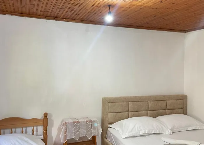 Bujtina Lokthi 招待所 泰斯